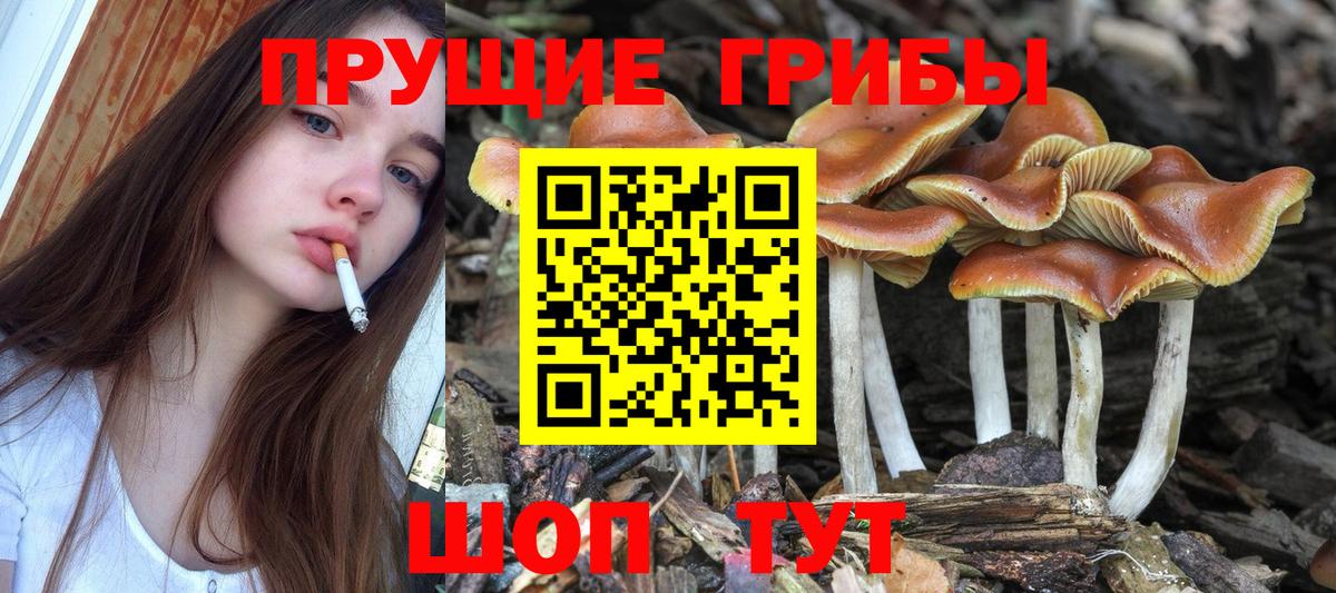 Калач-на-Дону  МАРИХУАНА  Меф МЯУ МЯУ   COCAIN  Вход с VPN  Гашиш  Гашиш  КОКАИН 