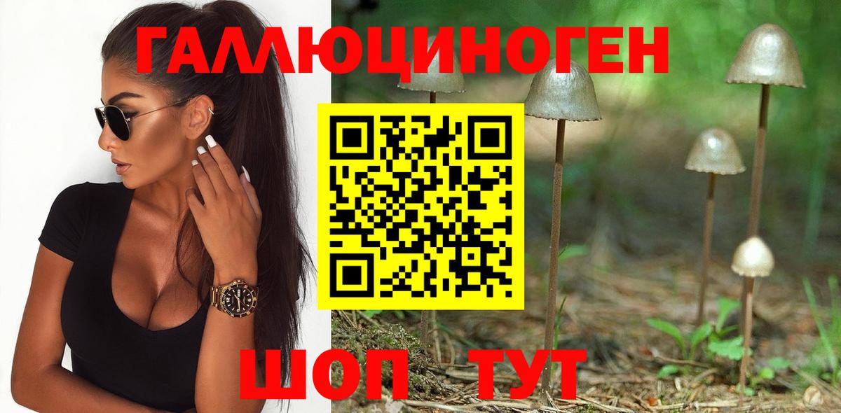 Галлюциногенные грибы Psilocybine cubensis Калач-на-Дону